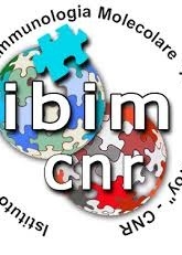 Logo Cnr-Ibim