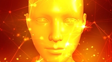imagine 3D volto umano
