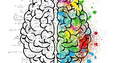 Disegno di un cervello con i due emisferi con colori diversi