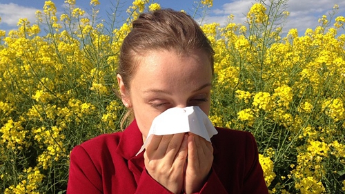 Persona che soffre di allergia