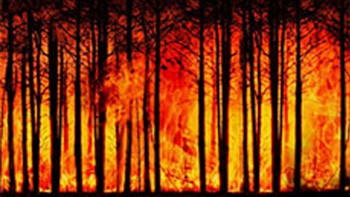 Foresta Amazzonica in fiamme