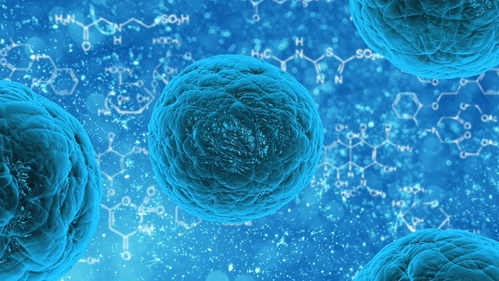 Cellule staminali (immagine stilizzata)