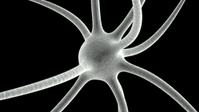 Immagine stilizzata neuroni