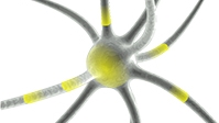 Immagine stilizzata neurone